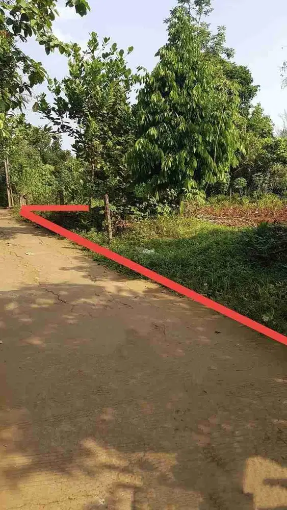 Dijual tanah kebun di Desa Kertarahayu kecamatan Setu kabupaten Bekasi