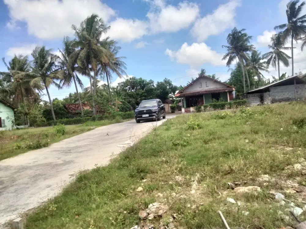 Jual Tanah Jogja Dekat Pemukiman Padat Tawangsari Kulonprogo