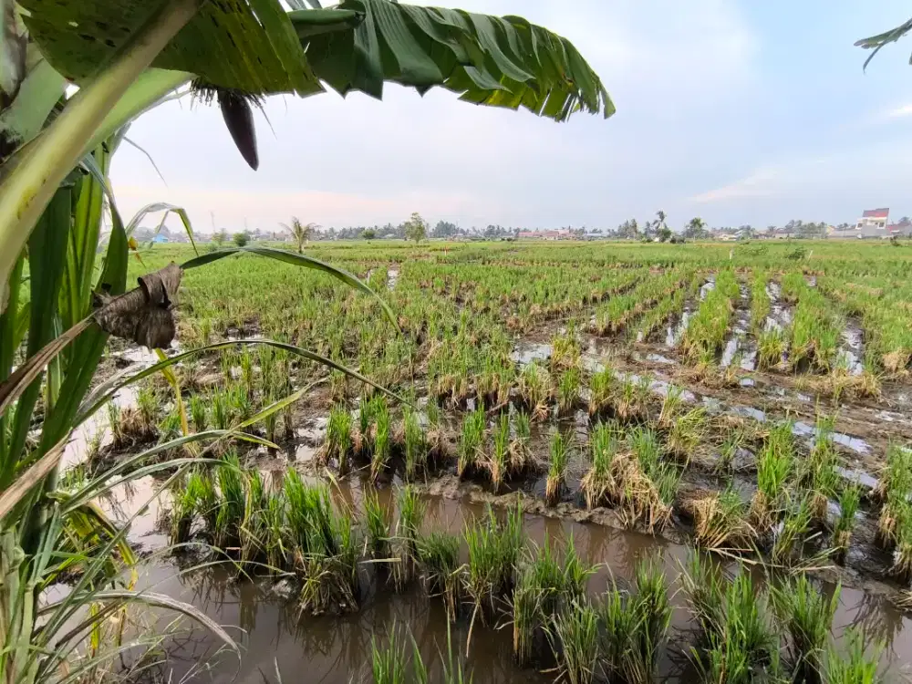 Dijual Tanah Pribadi cocok untuk pembangunan