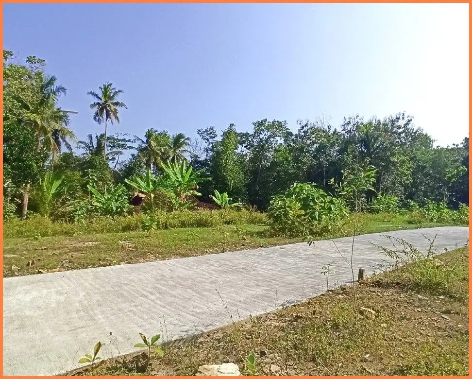 Gotakan Panjatan, Tanah Kavling Dekat Samsat Kulon Progo