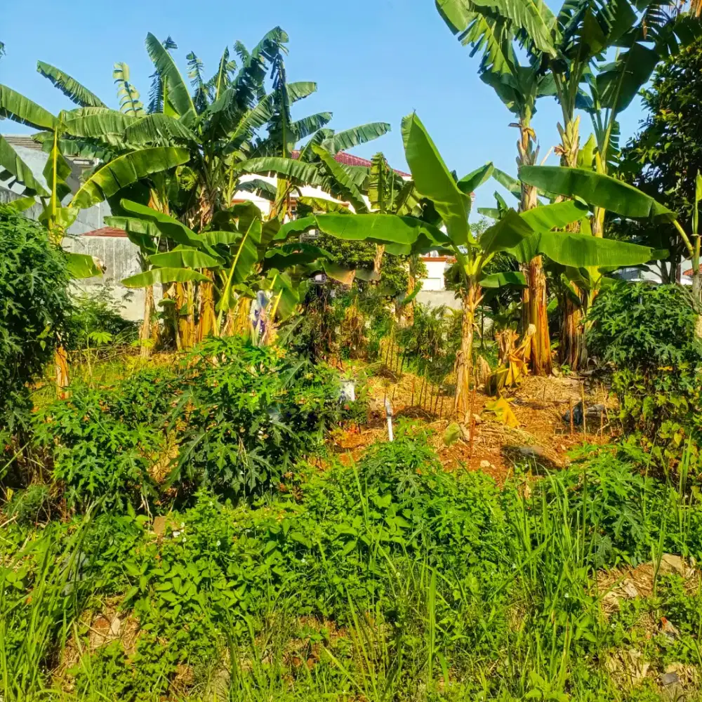 Dijual tanah siap bangun lokasi asik di VILA ILHAMI