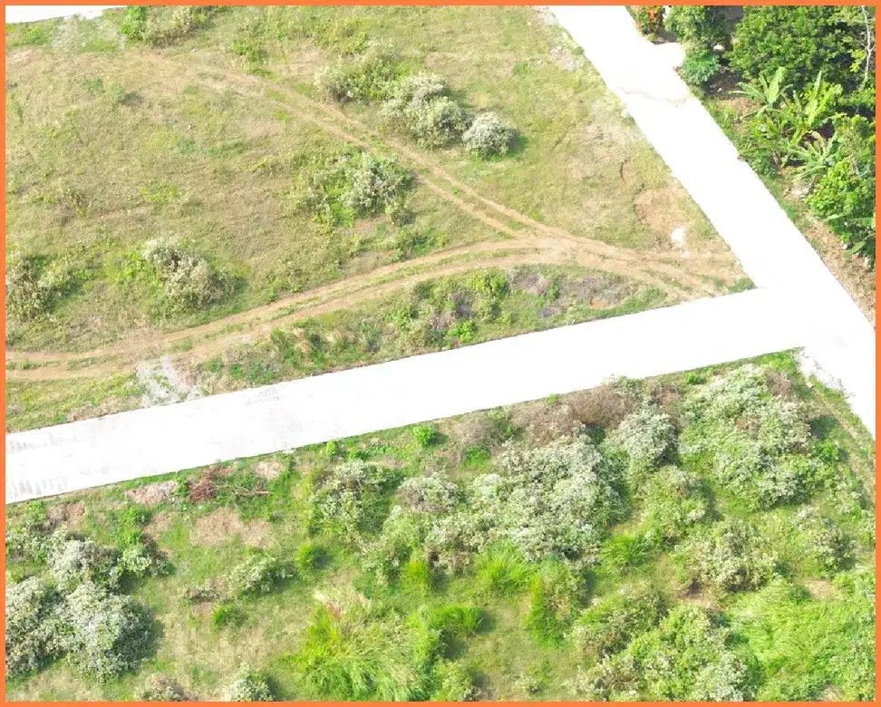 Dekat Pantai Dewa Ruci Tanah Dijual Jogja Jl. Daendels Kulon Progo