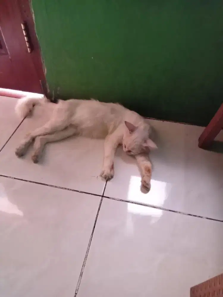 Mencari kerja security sekolah/perumahan.