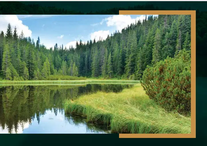 rumah kembali ke alam, setiap hari terasa fresh, Hilago BSB