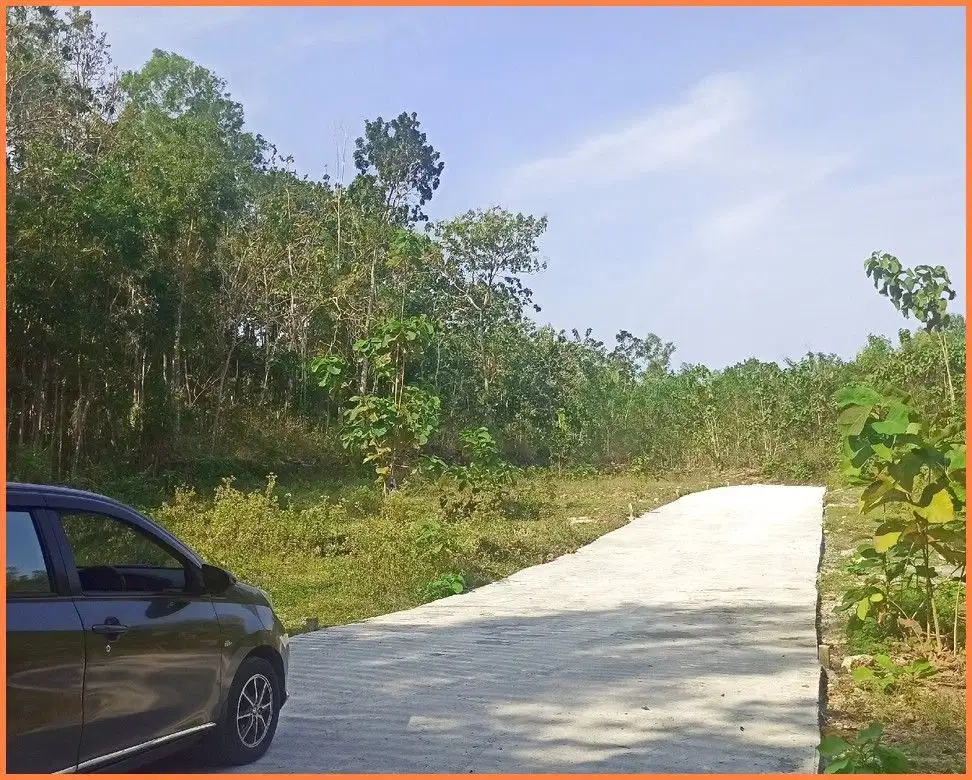 Dekat Samsat Kulon Progo, Tanah Yogyakarta di Gotakan Panjatan