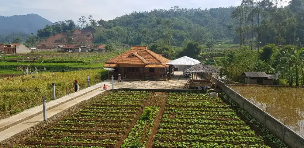 Dijual tanah dan bangunan tepi sungai