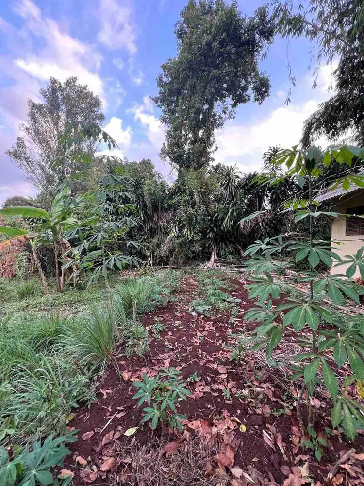 Tanah murah sekitar cikutra cigadung best price with view