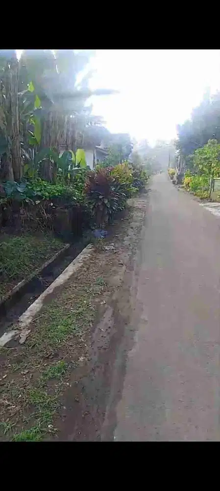 Tanah Hunian Pucangsongo Pakis Malang