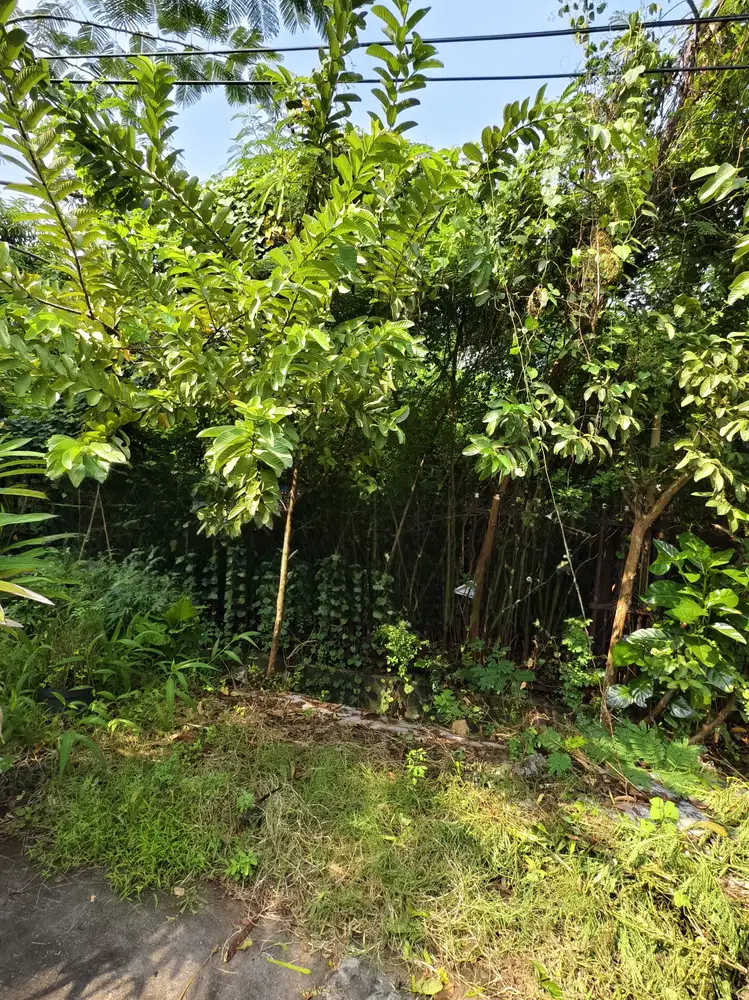 Kavling Pluit Jual Cepat Lokasi Bagus Harga Bagus