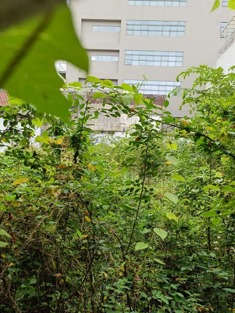 Kavling Tanah Untuk Rumah Lokasi Strategis Bagus Di Petojo