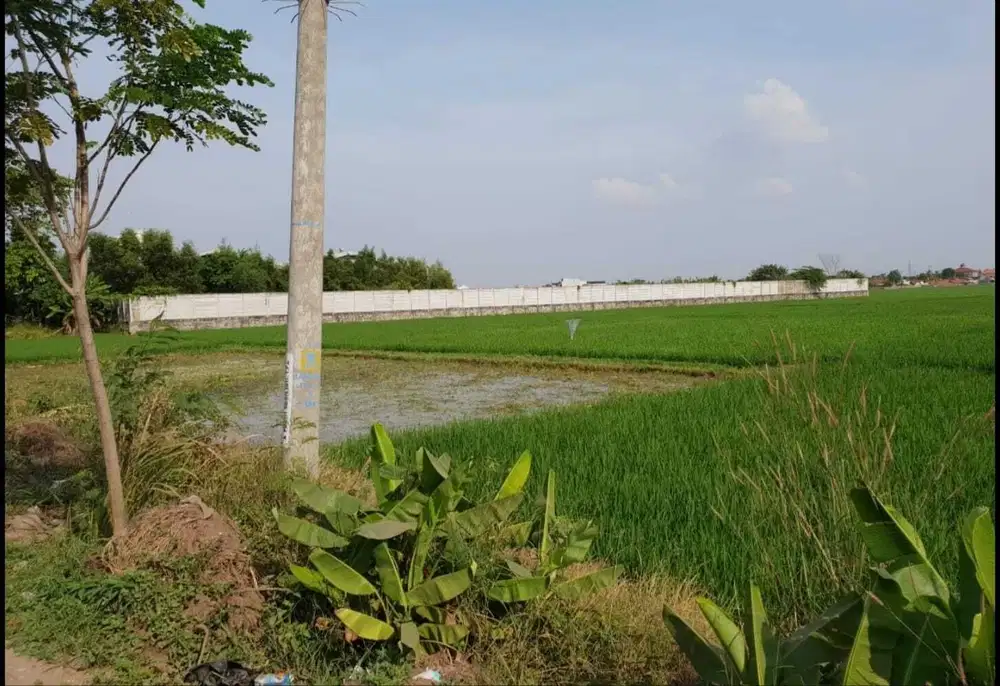 Dijual Murah Sebidang Tanah Komersil di Karawang Barat Jawa Barat