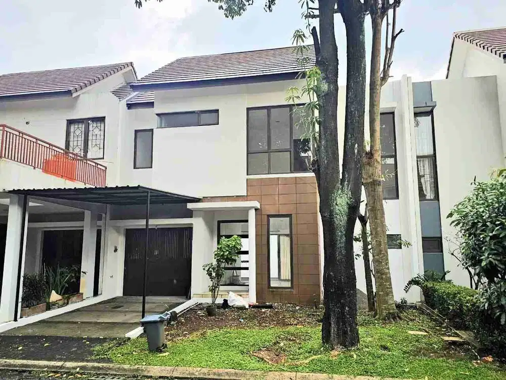 Eternity The Icon BSD