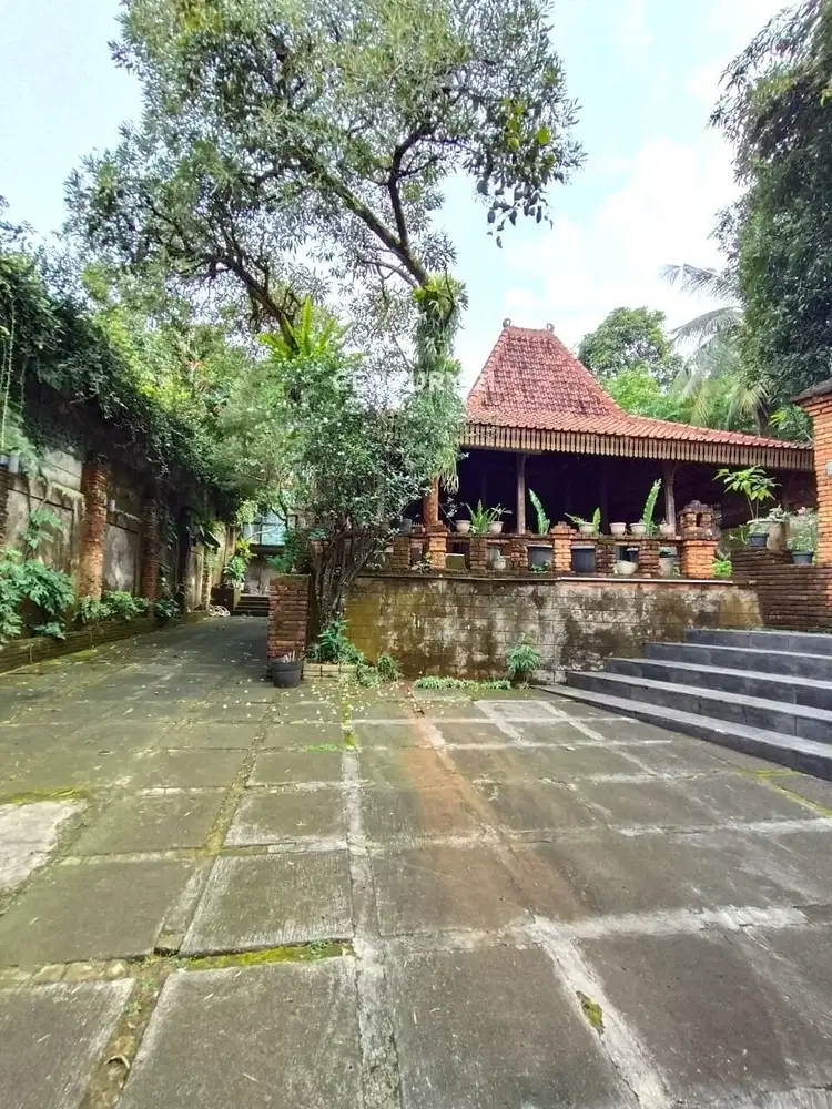 Rumah Design Rumah Solo Tanah Berkontur Di Sektor 9 Bintaro  8353