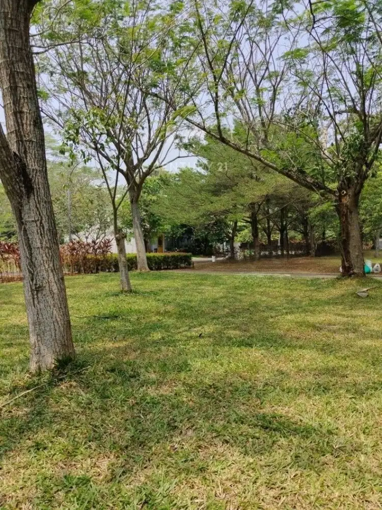 Kavling Hook Siap Bangun Dalam Cluster The Avani BSD 7868