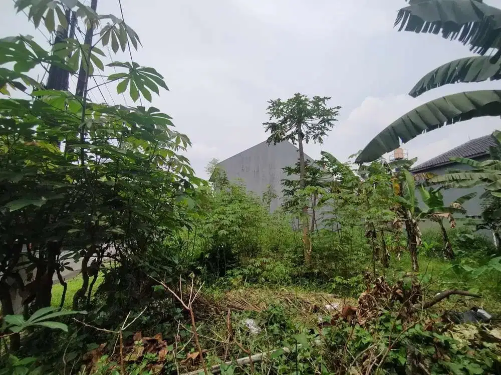 Dijual Kavling(Tanah Kosongan) Suryalaya