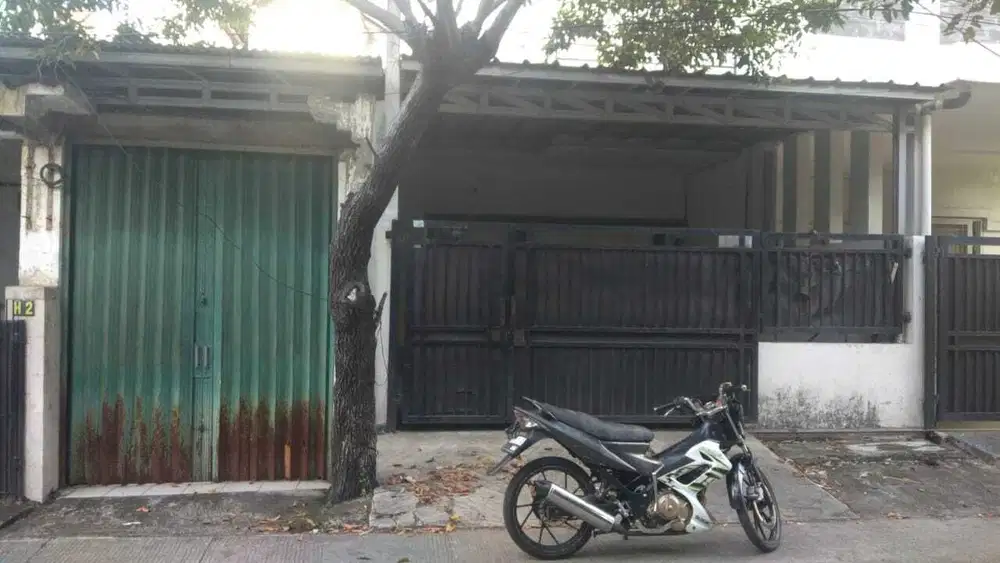 DISEWAKAN RUMAH MURAH DI MUSIK RAYA 65 JT NEGO