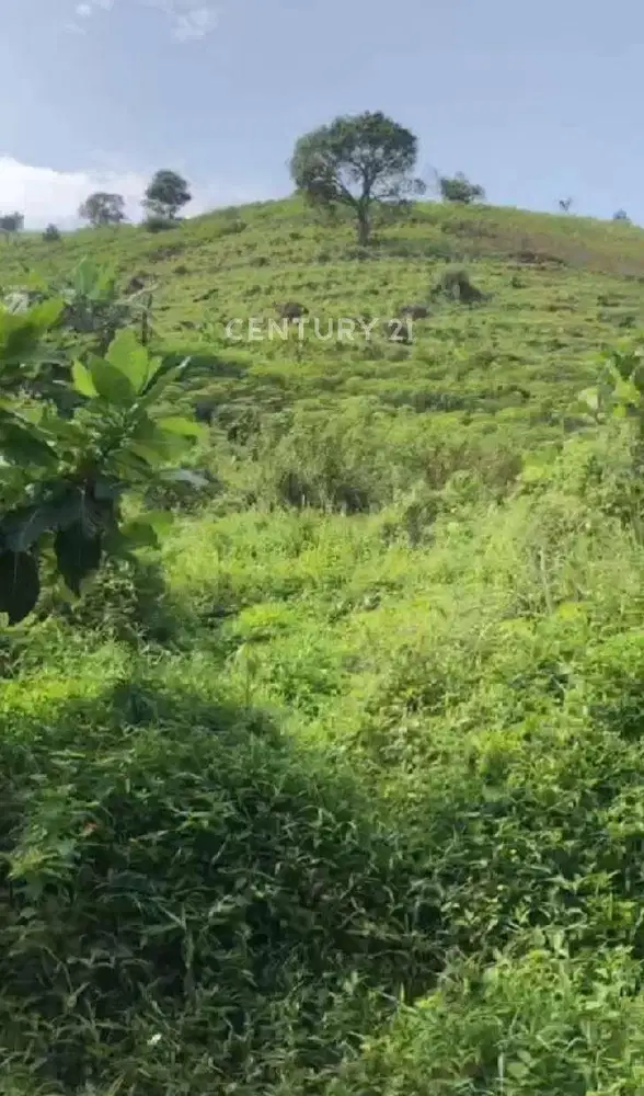 Kavling sentul Lokasi Strategis Dekat Tol Jagorawi