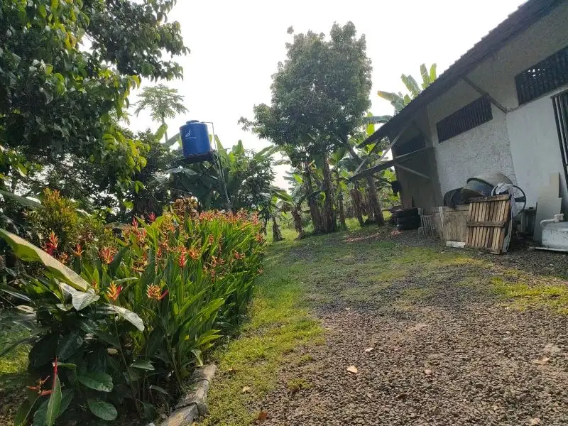 Dijual tanah di desa Dangdang Cisauk Tangerang