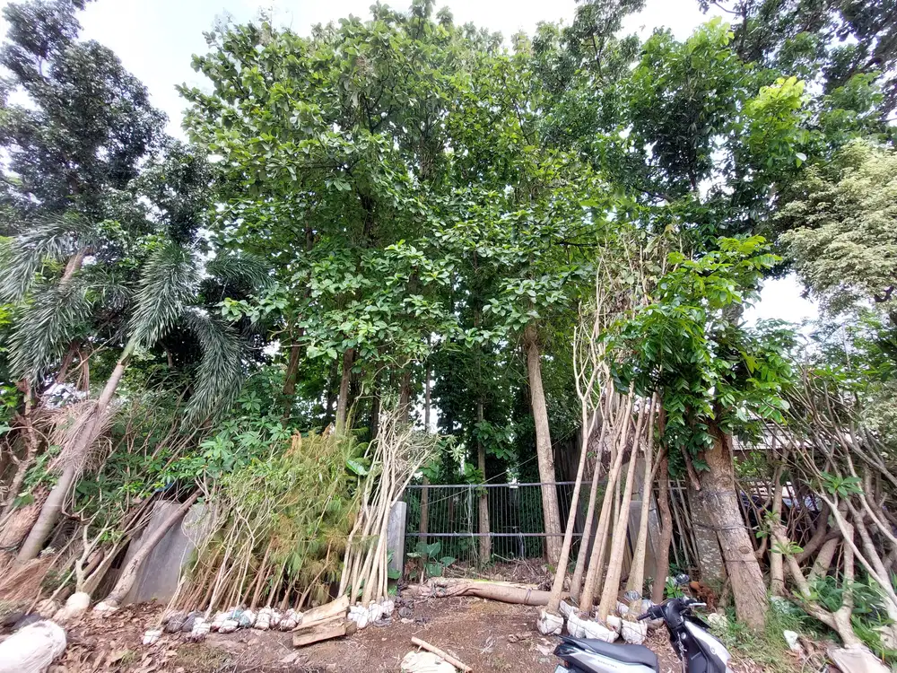 Jual Cepat 2 Kavling Siap Dibangun di Kav DKI Meruya Utara JakBar