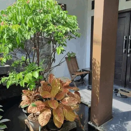 Dijual Rumah Bagus Asri Di Bintaro Dekat Stasiun Sudimara