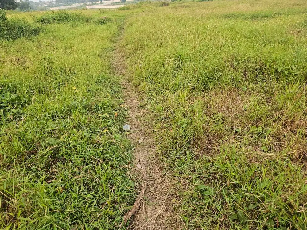 Jual Cepat Tanah Pinggir Jalan Raya Cikande Rangkasbitung Banten