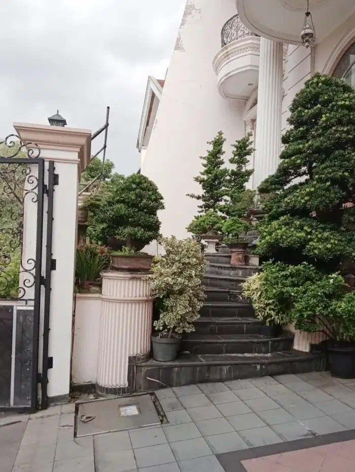 Rumah Mewah Klasik Pluit Jual Cepat Lokasi Bagus Jalan Lebar