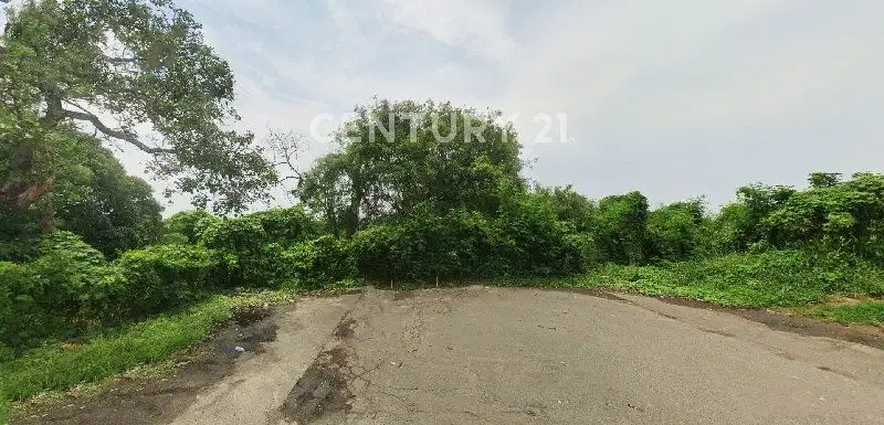 Tanah Kavling Kawasan Industri Murah Delta Silicon 1 Cikarang