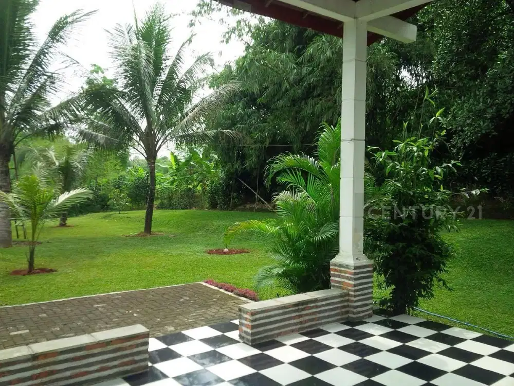 Tanah Kebun Apik Dan Terawat Di Parung, Bogor.  #6657