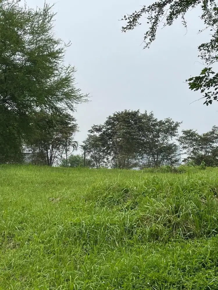 Dijual Tanah Atau Kavling Cluster Taman Simpruk Lippo Cikarang TTS162EJ