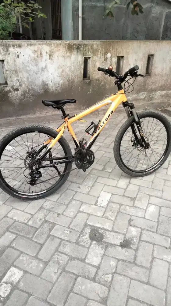 Sepeda Polygon second