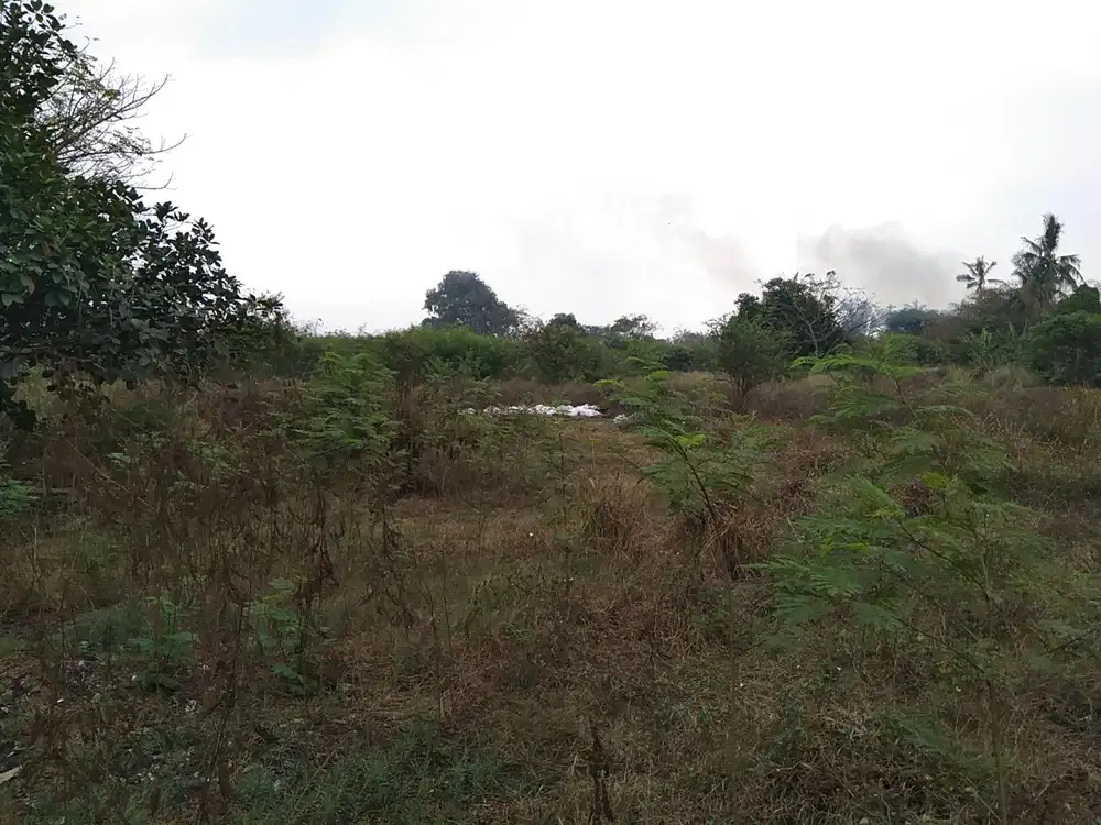 Dijual Tanah Keras Strategis Di Mauk Sepatan Lst S3026