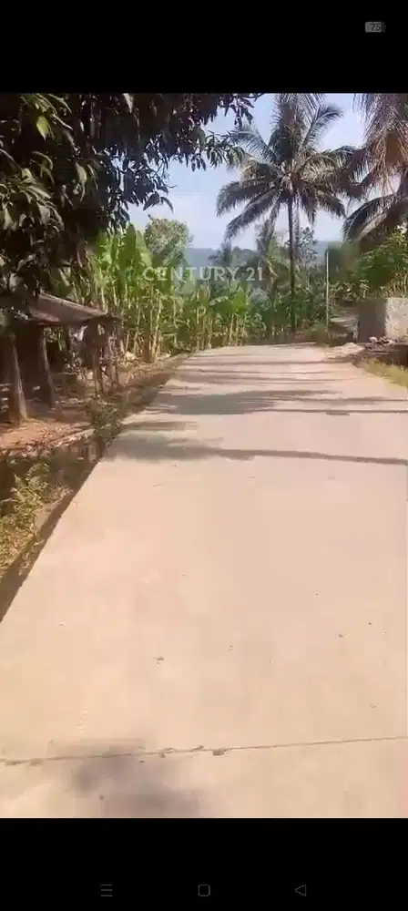Posisi Pinggir Jalan Desa Cibadak Cariu Cocok Buat Villa & Ladang