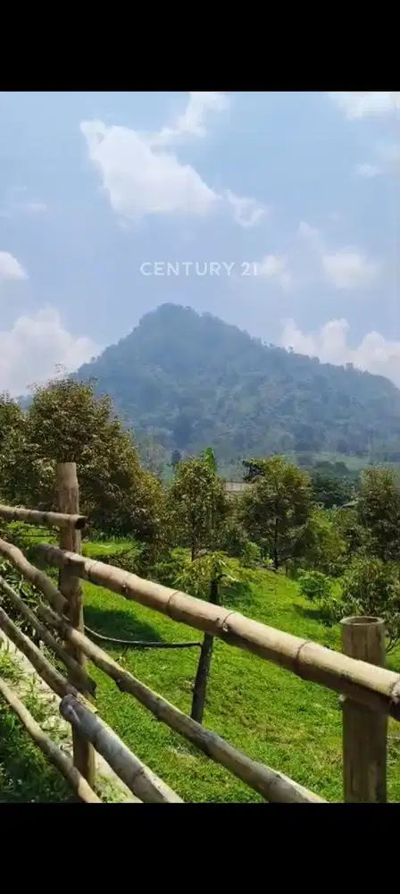 Tanah Subur Di Kp Tegalaja Desa Cibadak Kec Tanjung Sari Bogor