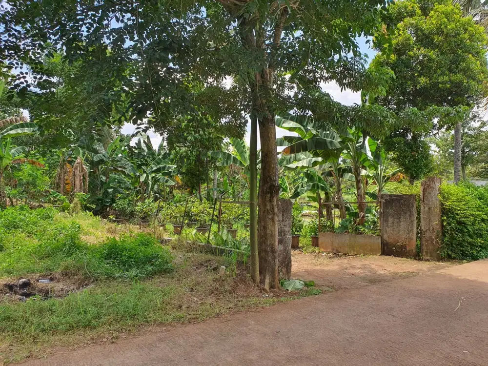 Tanah datar cocok utk perkebunan/peternakan di Sawangan dekat ke Jakarta - Harga NJOP