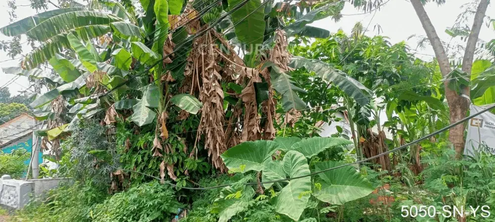 Dijual Kavling Murah Di Pamulang Depan Kantor Walikota TangSel