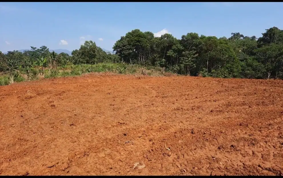 Di Jual BU Lahan luas di Bogor, bagus untuk perkebunan,perumahan