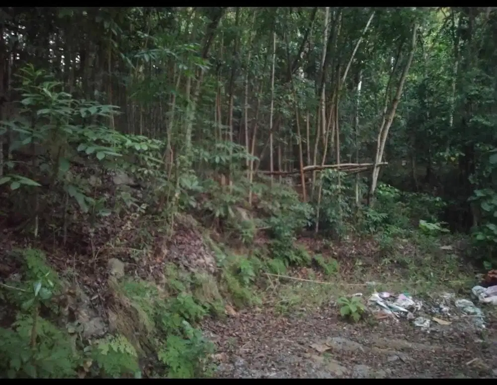 Tanah Luas 2000 Meter Persegi Lokasi Argorejo Sedayu Sleman