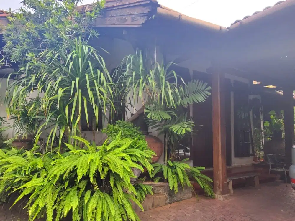 Rumah Asri dan Nyaman  Lokasi Strategis  di Cipete, Jakarta Selatan