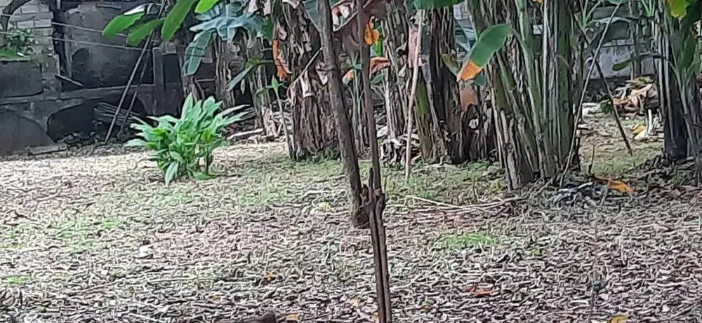 Dijual lahan di Lebak Bulus