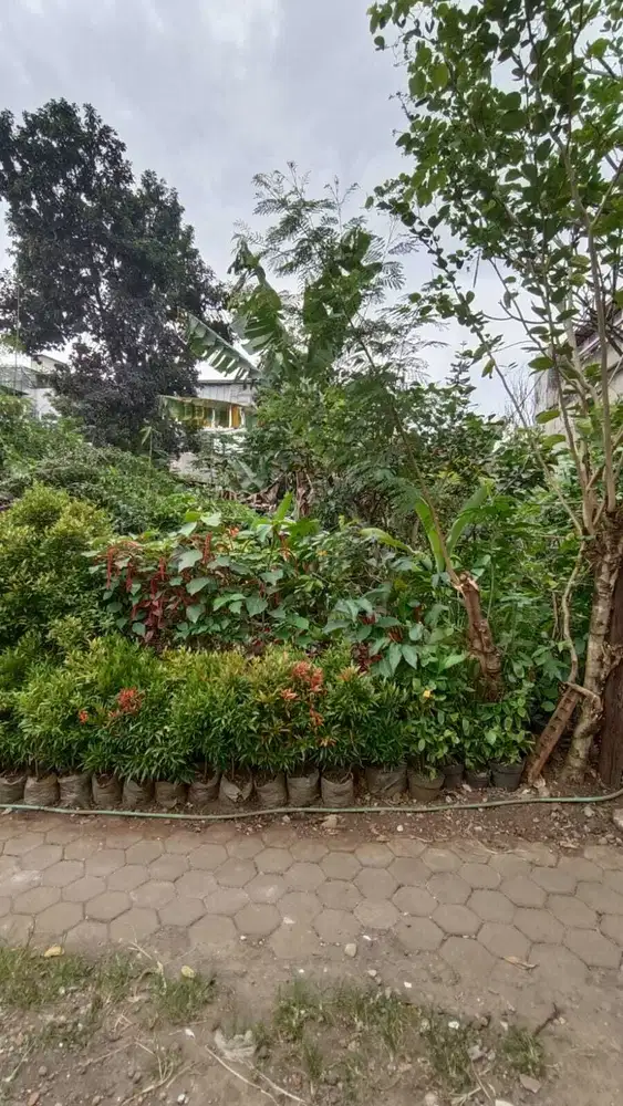 BEST PRICE ! DIJUAL CEPAT KAVLING TANAH TERUSAN SETRARIA !