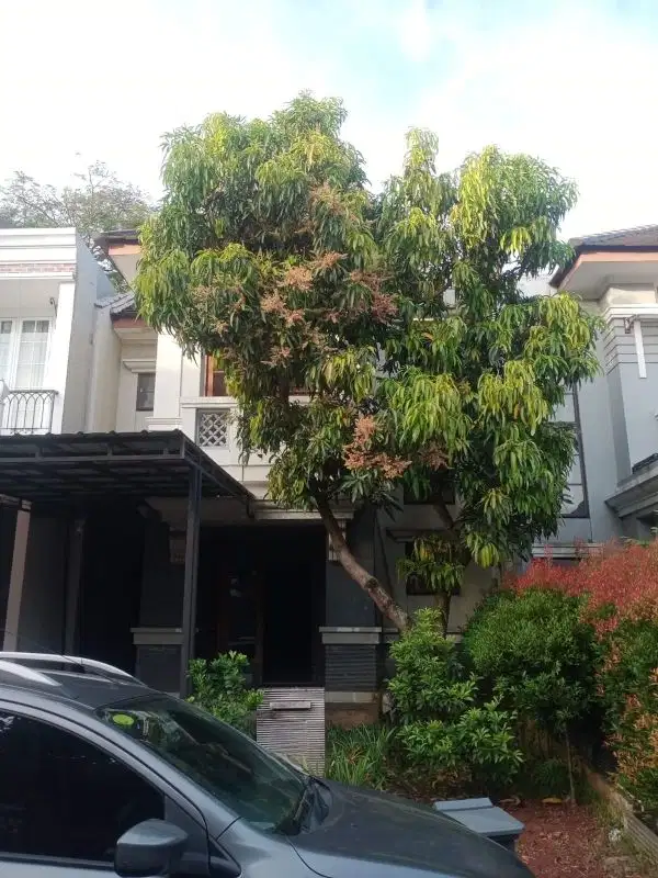 Rumah Standar 2 Lantai di The Green BSD Dekat Tol