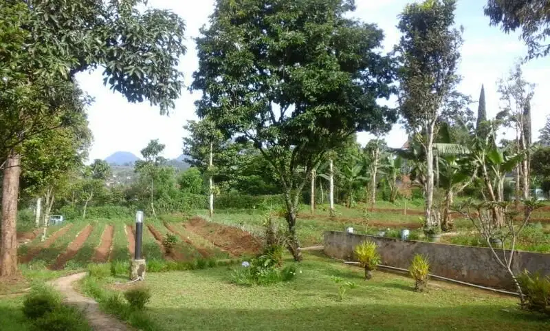 Tanah Lokasi Keren Sebelah Jalan Raya Di Tenjolaya Ciwidey Bandung