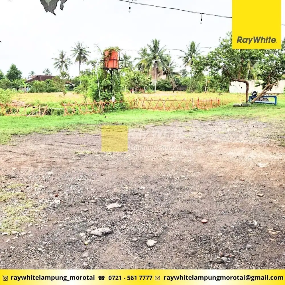 Sewa Tanah Natar Pinggir Jalan