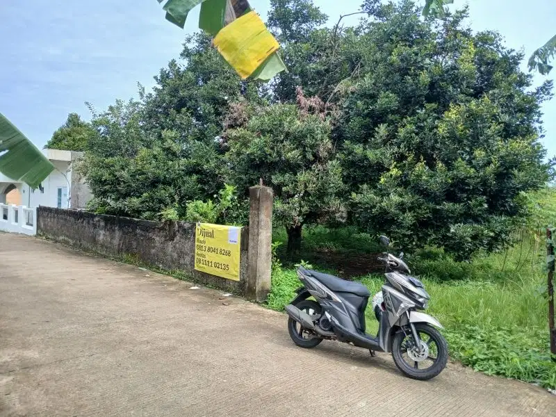 For Sale Per Meter Tanah di Kayu Manis 800 m ke Sholeh Iskandar