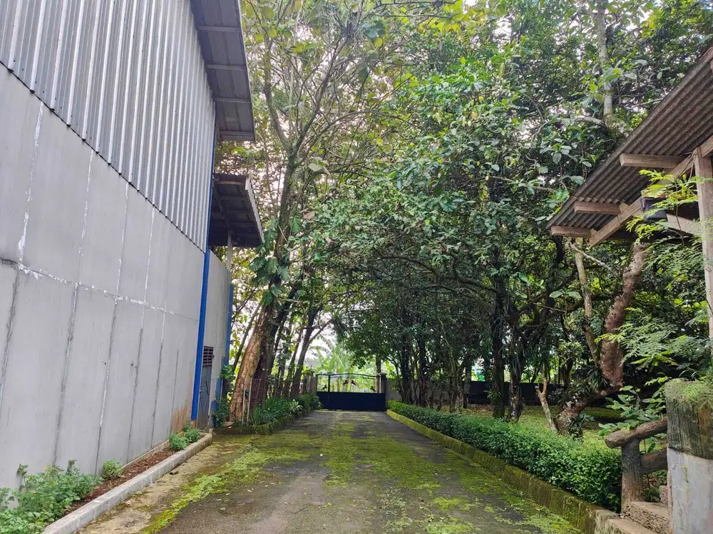 Dijual Tanah Cocok untuk Hotel/Villa/Pesantren/Rumah Ret-Ret di Rancamaya, Bogor