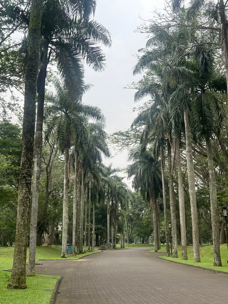 Kavling Mewah Area Golf posisi boulevard Cluster Buiit Golf BSD