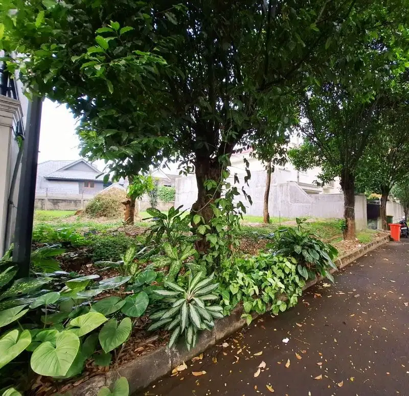 kavling Badan Luas Cantik Giri Loka BSD city