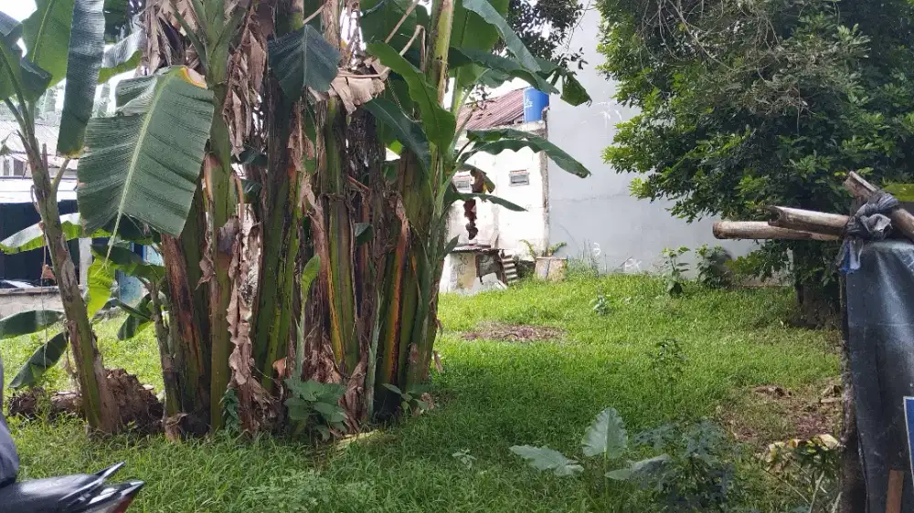 Tanah Di Jual  di daerah Ciketing Mustika Jaya