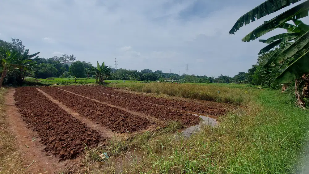 Tanah Cantik di Depok 10 mnt dari Tol Antasari JAUH dibawah Harga NJOP