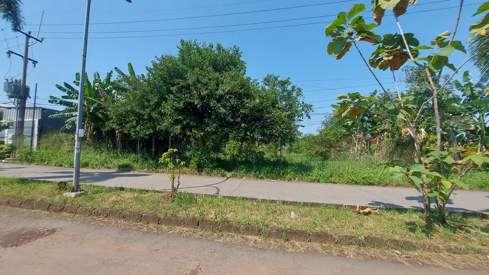 Tanah Luas Kotak 1.000m Dekat TOL di daerah Sentul Jawa Barat